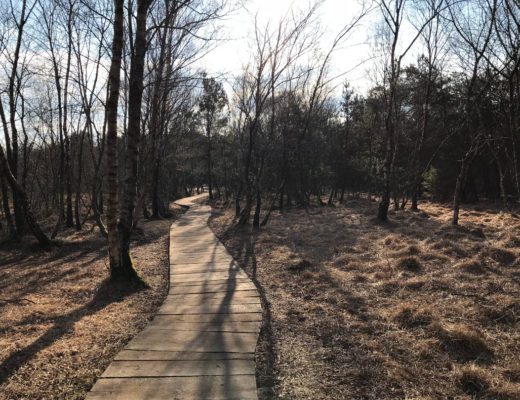 Neue Wege