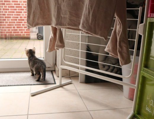 Ordnung im Abstellraum