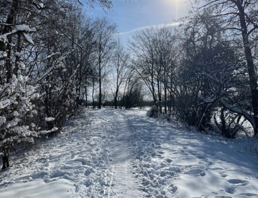 Skiurlaub