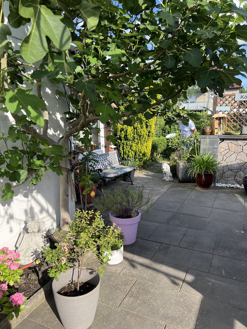 Garten